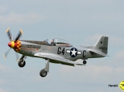 P-51D (George Perez)